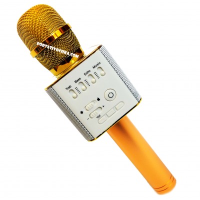 Беспроводной караоке микрофон WSTER Q9 в чехле